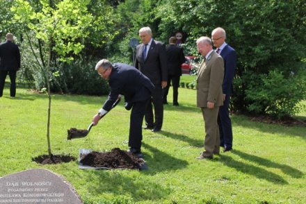 Prezydent Bronisław Komoroski sadzi Dąb Wolności